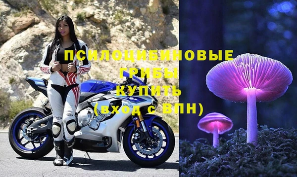 мет Гусиноозёрск