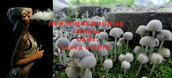 мет Гусиноозёрск