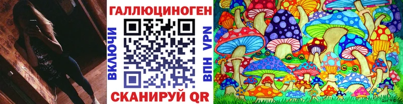 Псилоцибиновые грибы Psilocybine cubensis  Купить  Кунгур 